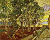 文森特 威廉 梵高 : 精神病医院一角、共园和树桩